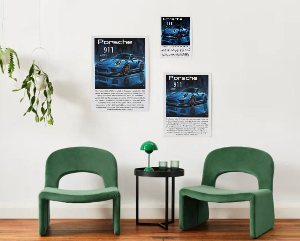 991 Porsche GT3 RS Poster