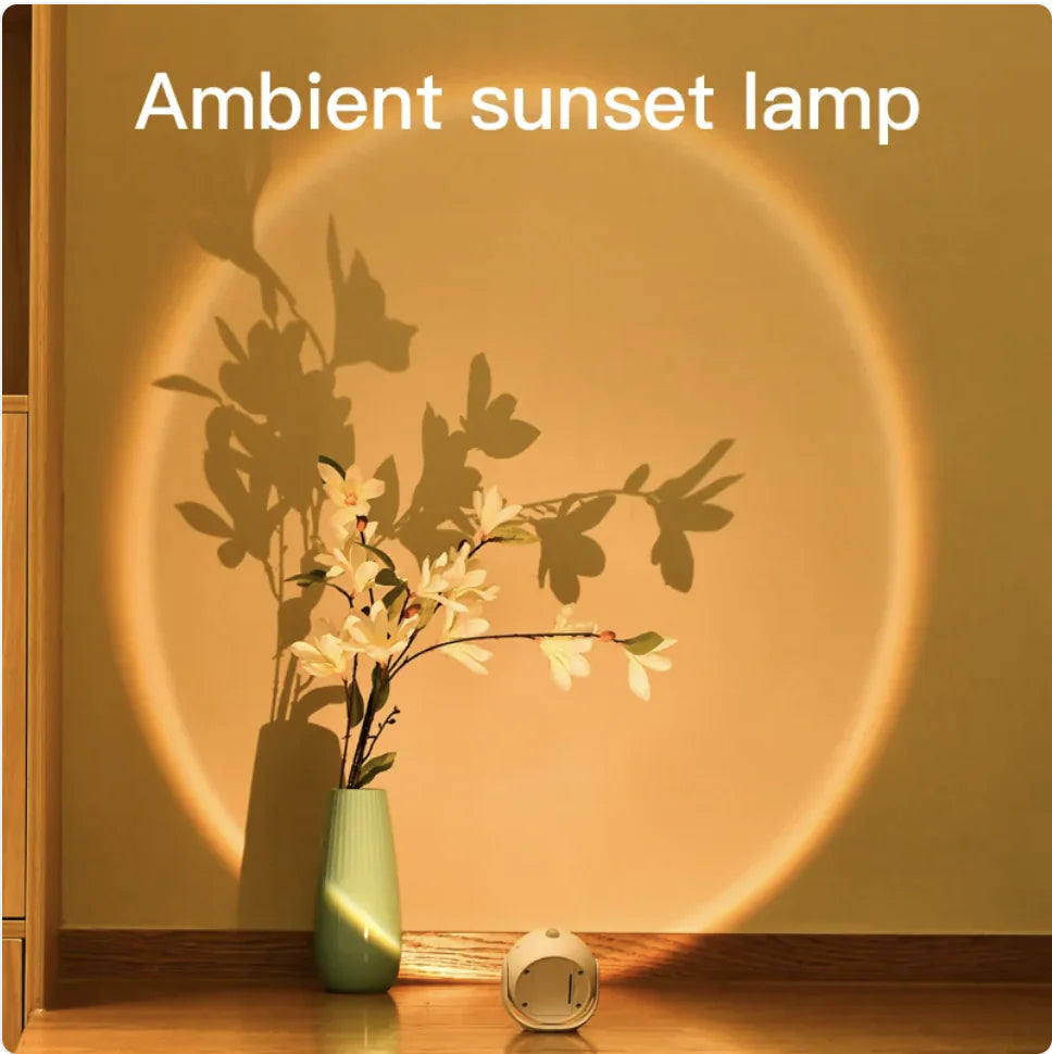 Adjustable Wireless Poster Light
